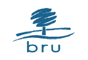BRU-1
